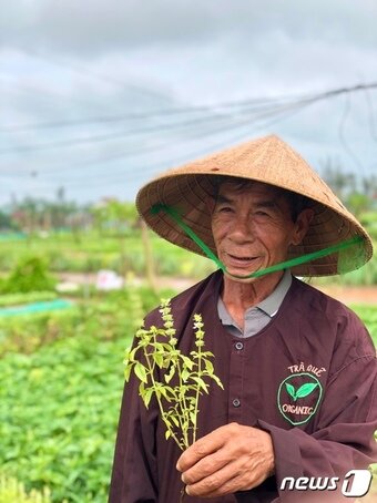 본문 이미지 - 트라 꿰 채소마을에서 쿠킹클래스를 운영하고 있는 쓰어(60)씨 ⓒ News1  