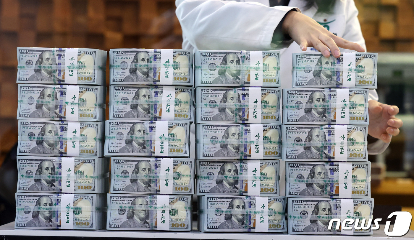 외환보유액 한 달 사이 약 27억6천만달러 감소 - 뉴스1
