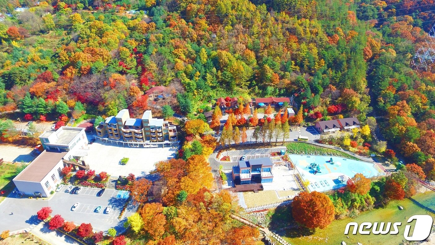 본문 이미지 - 옥천 장령산휴양림 일대 드론 촬영. (옥천군 제공) 