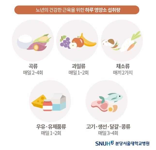 노년기가 되면 근육 유지에 도움이 되는 음식들을 꾸준히 섭취하는 것이 중요하다. &#40;분당서울대병원 제공&#41;