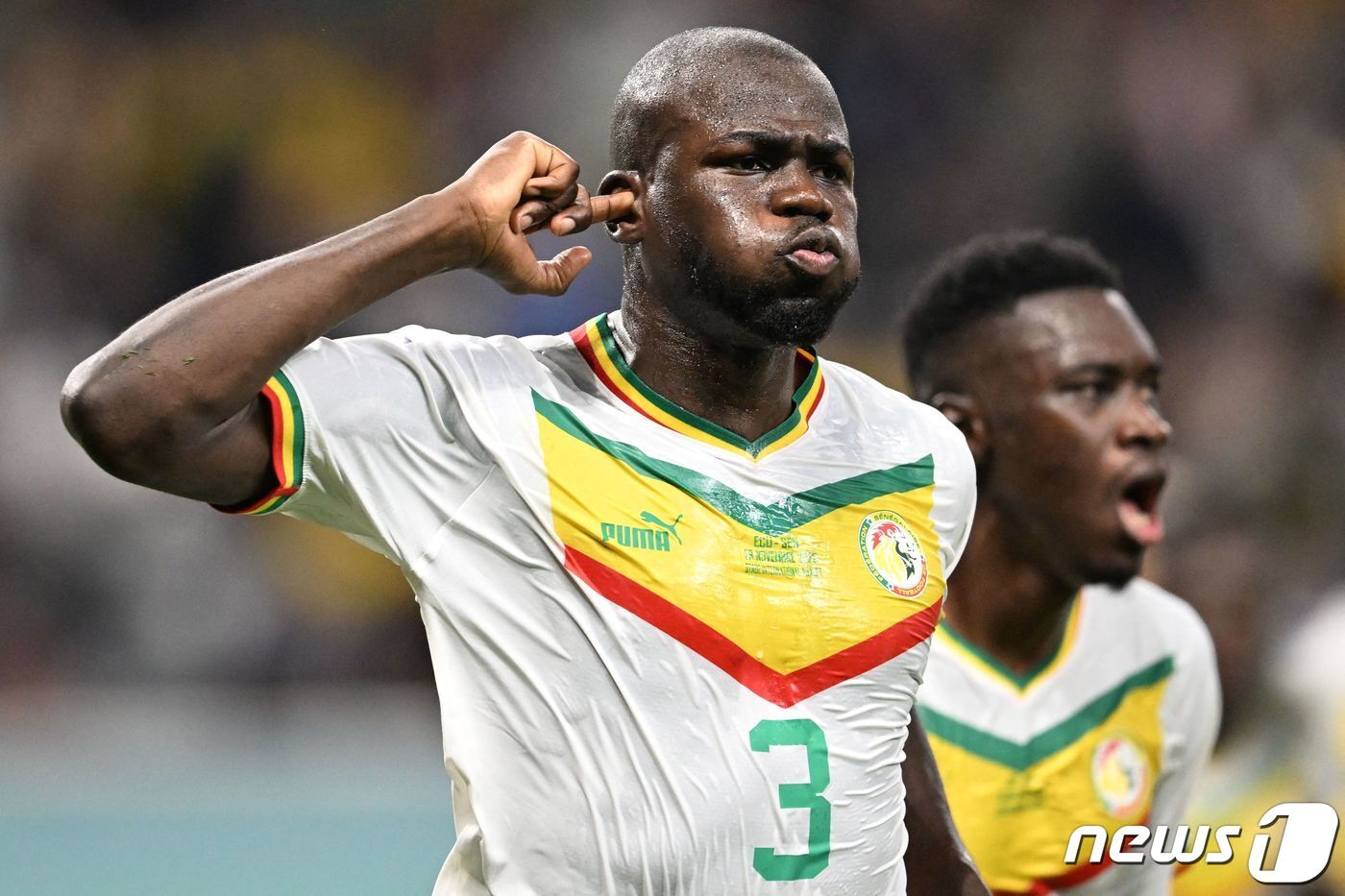 본문 이미지 - 에콰도르전 결승골의 주인공 칼리두 쿨리발리.ⓒ AFP=뉴스1