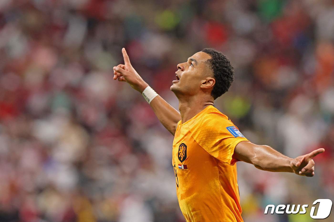 본문 이미지 - 3경기 연속 득점을 기록한 네덜란드 공격수 코디 각포. ⓒ AFP=뉴스1
