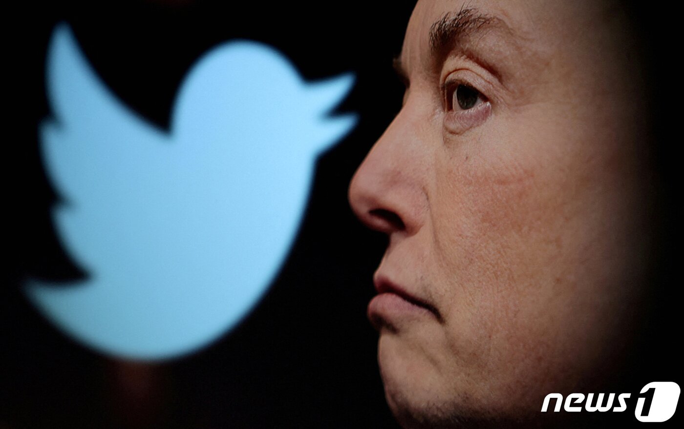 본문 이미지 - 트위터 로고와 일론 머스크 테슬라 최고경영자(CEO). 2022.10.27/뉴스1 ⓒ 로이터=뉴스1 ⓒ News1 김민수 기자
