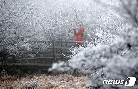 제주도 기온 뚝