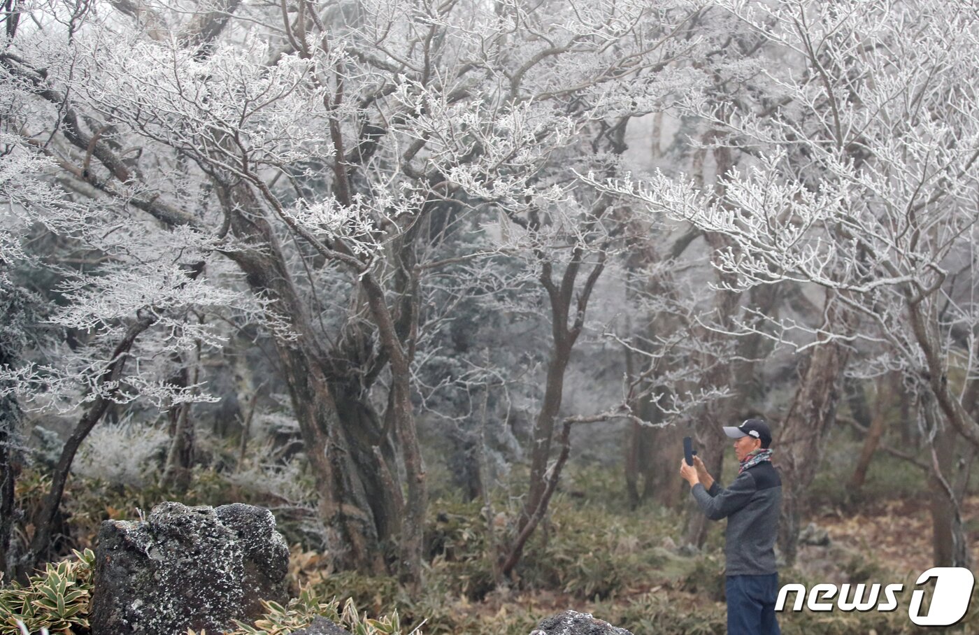 본문 이미지 - 제주 산지에 한파주의보가 발효된 30일 오전 한라산 1100고지에서 한 시민이 눈꽃 사진을 찍고 있다. 2022.11.30/뉴스1 ⓒ News1 오현지 기자