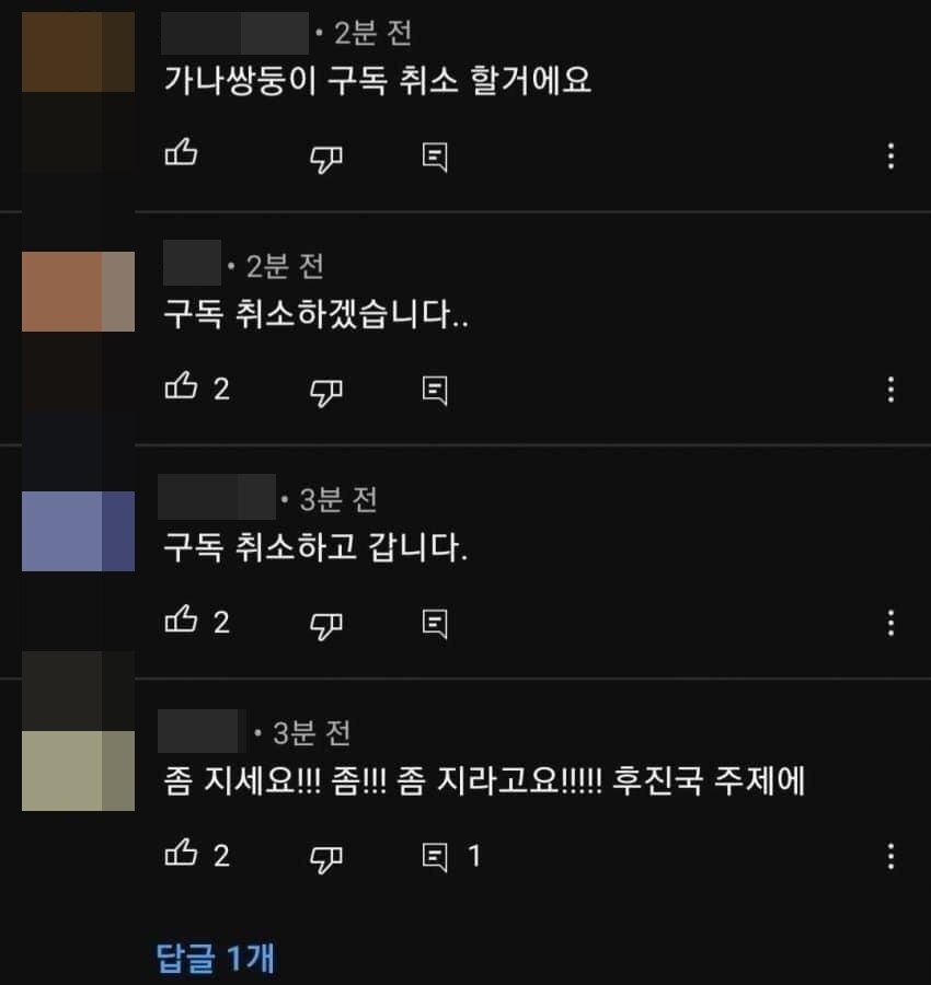 본문 이미지 - 가나전과의 경기가 패배로 끝나자 '가나쌍둥이' 채널에 올라온 댓글들. (온라인 커뮤니티 갈무리)