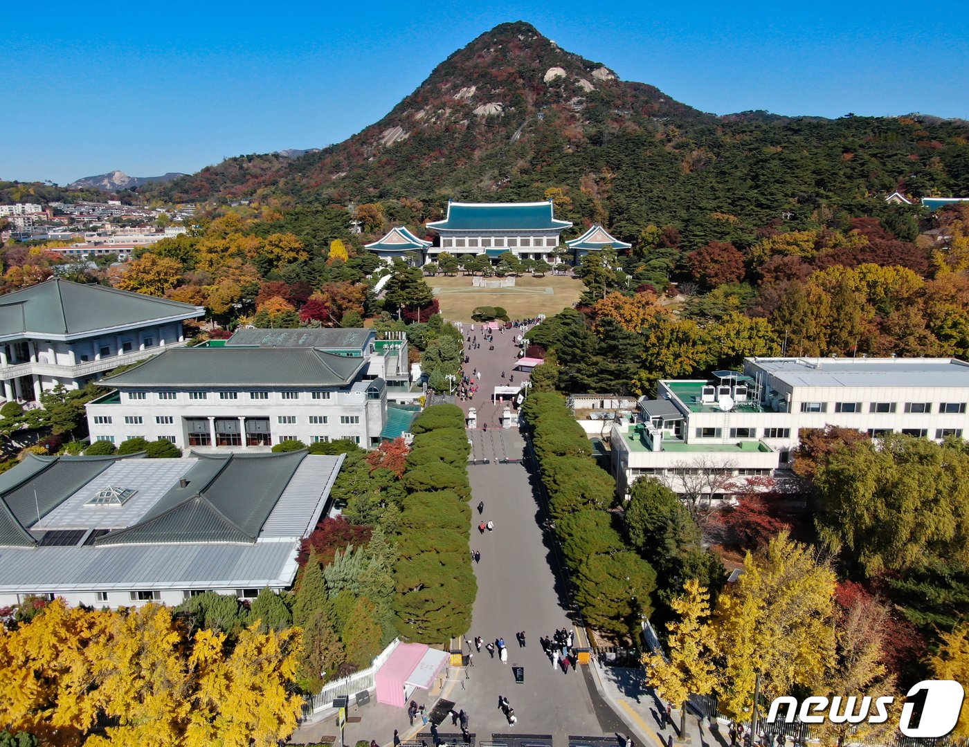 본문 이미지 - 알록달록 단풍이 물들어 가고 있는 4일 오전 서울 종로구 청와대에서 시민들이 가을의 정취를 만끽하고 있다. 2022.11.4/뉴스1 ⓒ News1 김진환 기자