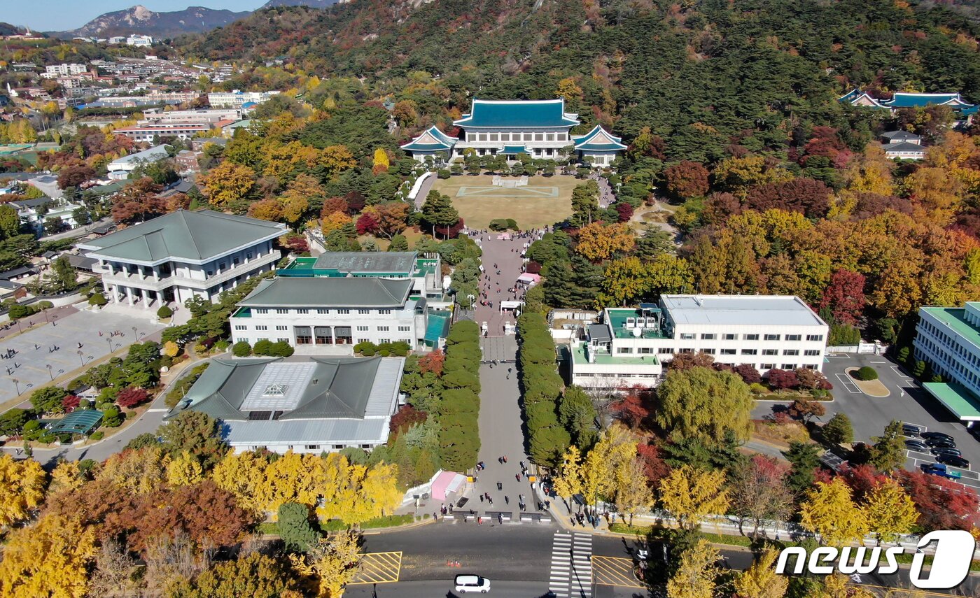 본문 이미지 - 알록달록 단풍이 물들어 가고 있는 4일 오전 서울 종로구 청와대에서 시민들이 가을의 정취를 만끽하고 있다. 2022.11.4/뉴스1 ⓒ News1 김진환 기자