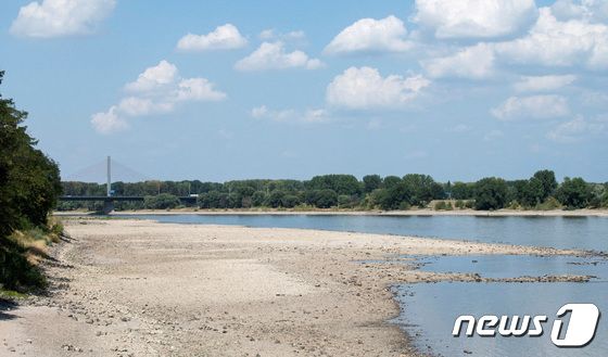 지난 8월 독일에서 촬영된 라인강. 기록적인 폭염으로 하천 물줄기가 매말라 있는 모습. © 로이터=뉴스1 © News1 정윤영 기자