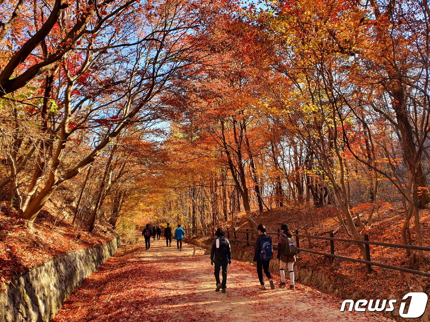 본문 이미지 - 우이령의 깊은 가을. 번잡한 도시의 가까운 곳에 이렇게 호젓하고 편안하게 걷는 길이 있다는 것은 축복이다.
