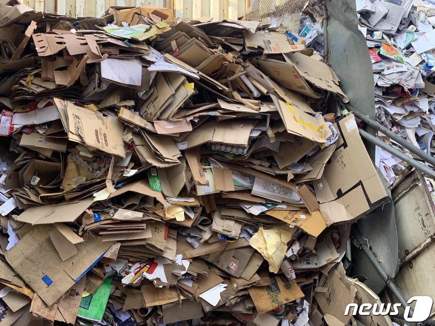 본문 이미지 - 8일 서울의 한 고물상에 폐지가 잔뜩 쌓여 있는 모습. ⓒ News1 김성식 기자