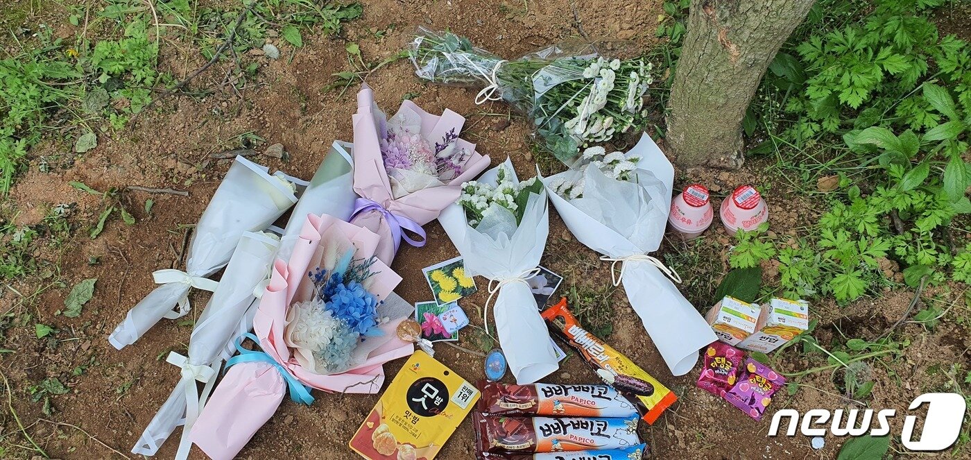 본문 이미지 - 지난해 5월12일 극단적인 선택을 한 청주 여중생 2명이 처음 발견된 곳에 국화 꽃다발 등이 놓여있는 모습./뉴스1