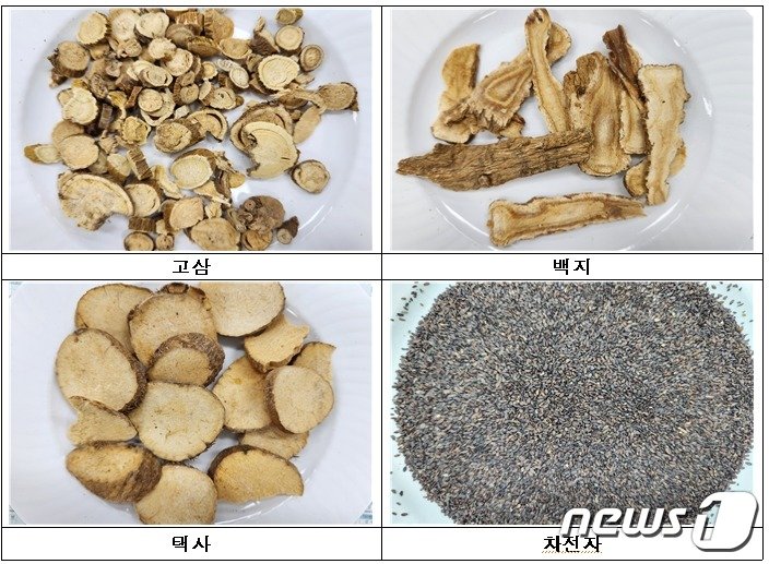 본문 이미지 - 식품에 사용할 수 없는 원료(고삼, 백지, 택사, 차전자)(=식품의약품안전처 제공.)