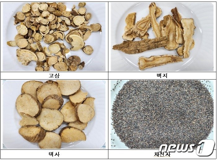 식품에 사용할 수 없는 원료&#40;고삼, 백지, 택사, 차전자&#41;&#40;=식품의약품안전처 제공.&#41;