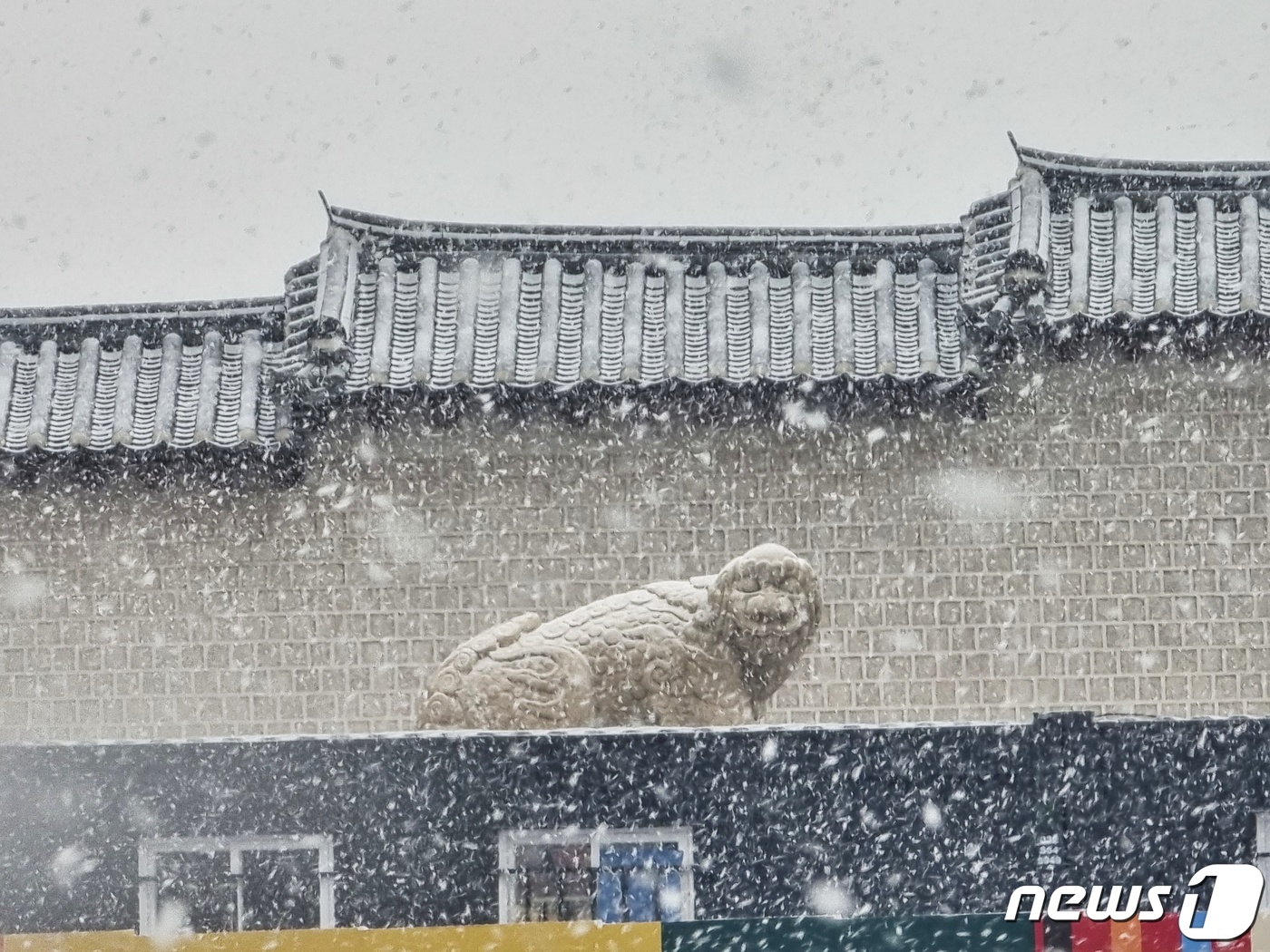 (서울=뉴스1) 황덕현 기자 = 15일 오후 서울 종로구 광화문 해태상이 눈에 덮이고 있다. 2022.12.15/뉴스1