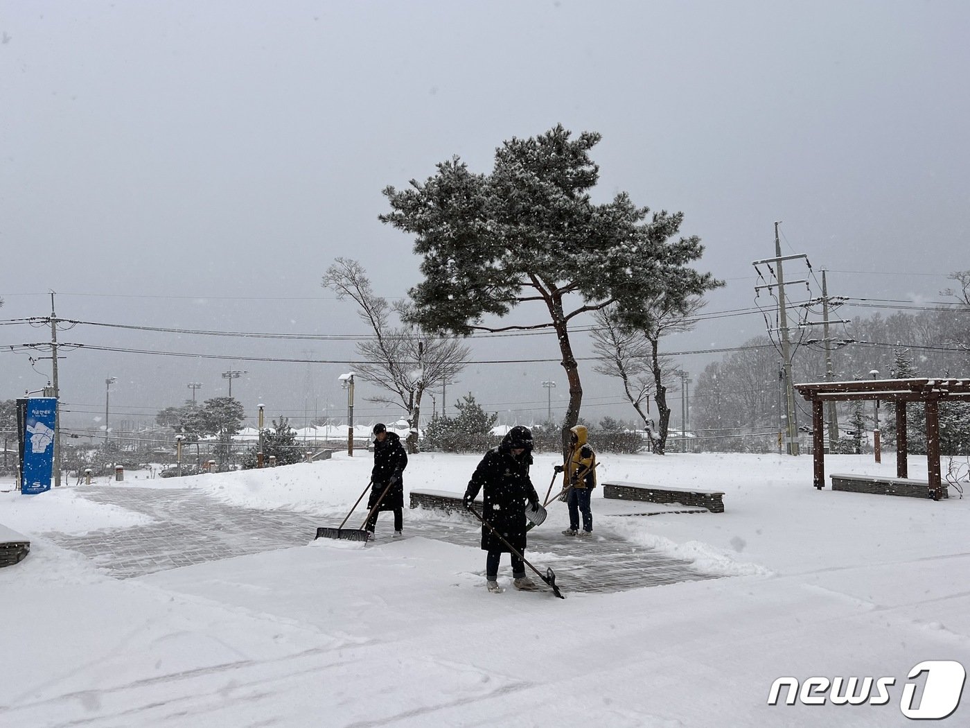 강원 영서·산지에 대설주의보가 내려진 15일 춘천송암스포츠타운 직원들이 제설작업을 하고 있다. 2022.12.15/뉴스1 한귀섭 기자