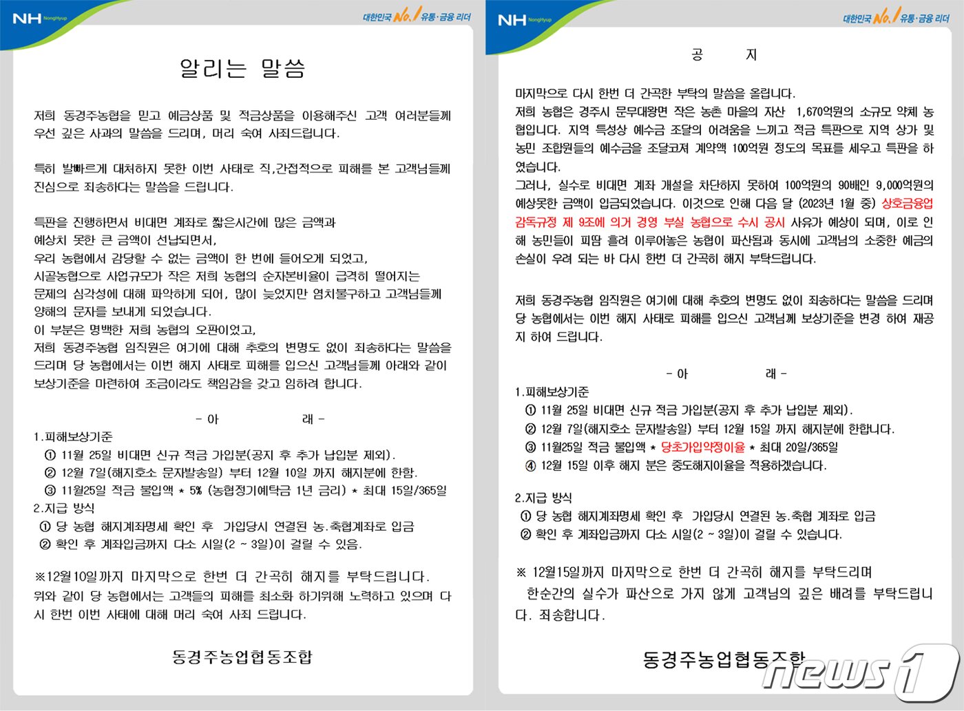 8.2% 적금 판매 동경주농협 해지 '읍소'…9000억 '돈 폭탄' 맞아 8.2% 적금 판매 동경주농협 해지 '읍소'…9000억 '돈 폭탄' 맞아