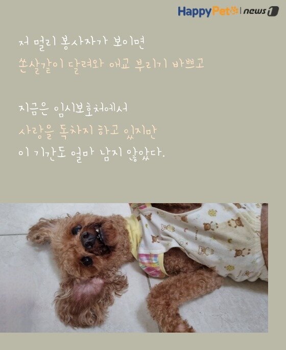 본문 이미지 -