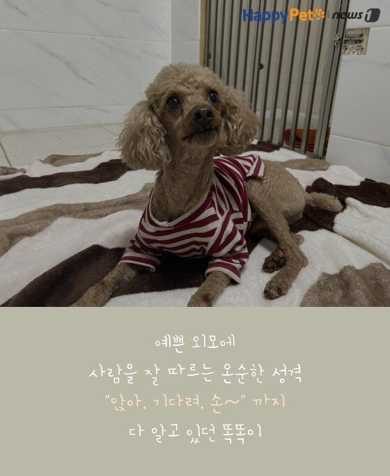 본문 이미지 -