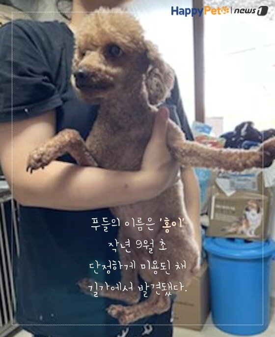 본문 이미지 -