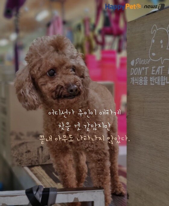 본문 이미지 -