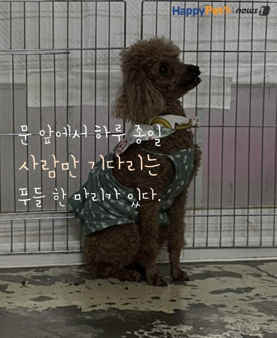 본문 이미지 -