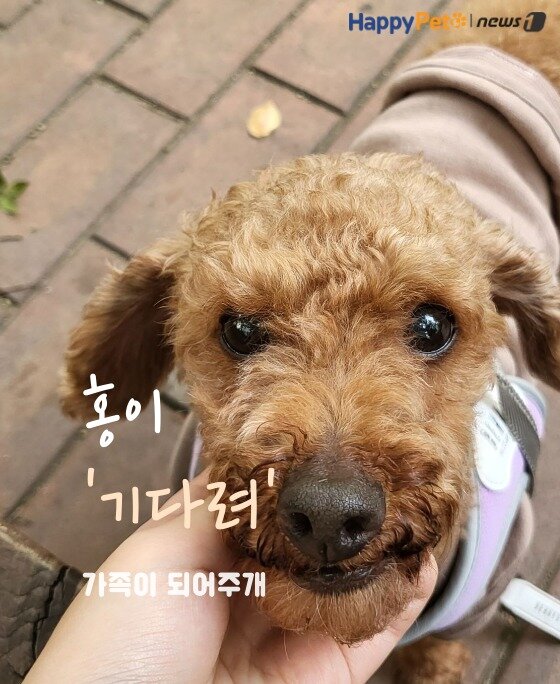본문 이미지 -