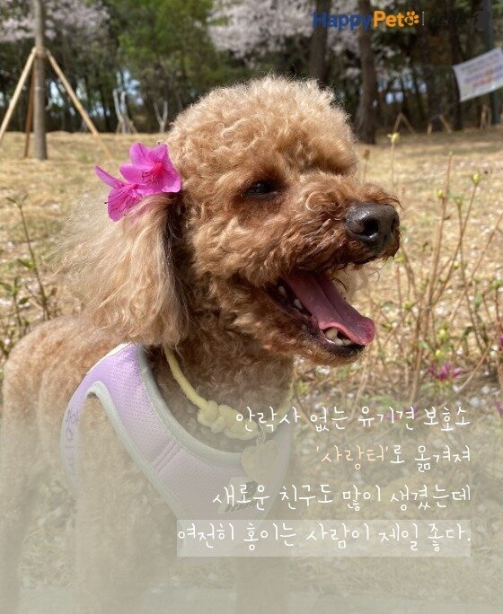 본문 이미지 -