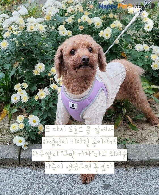 본문 이미지 -