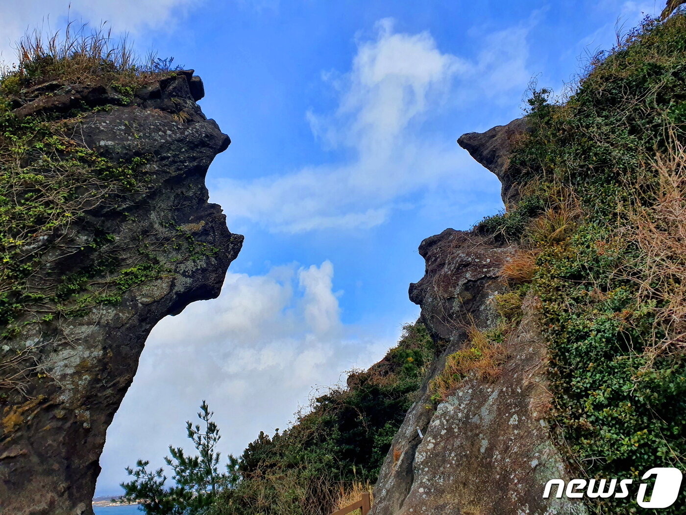 성산일출봉 오르막길의 바위. 화산재가 쌓여 굳을 때 빗물에 의해 깎여 만들어진 모습. 이 바위들은 무엇을 말하려는 것일까?