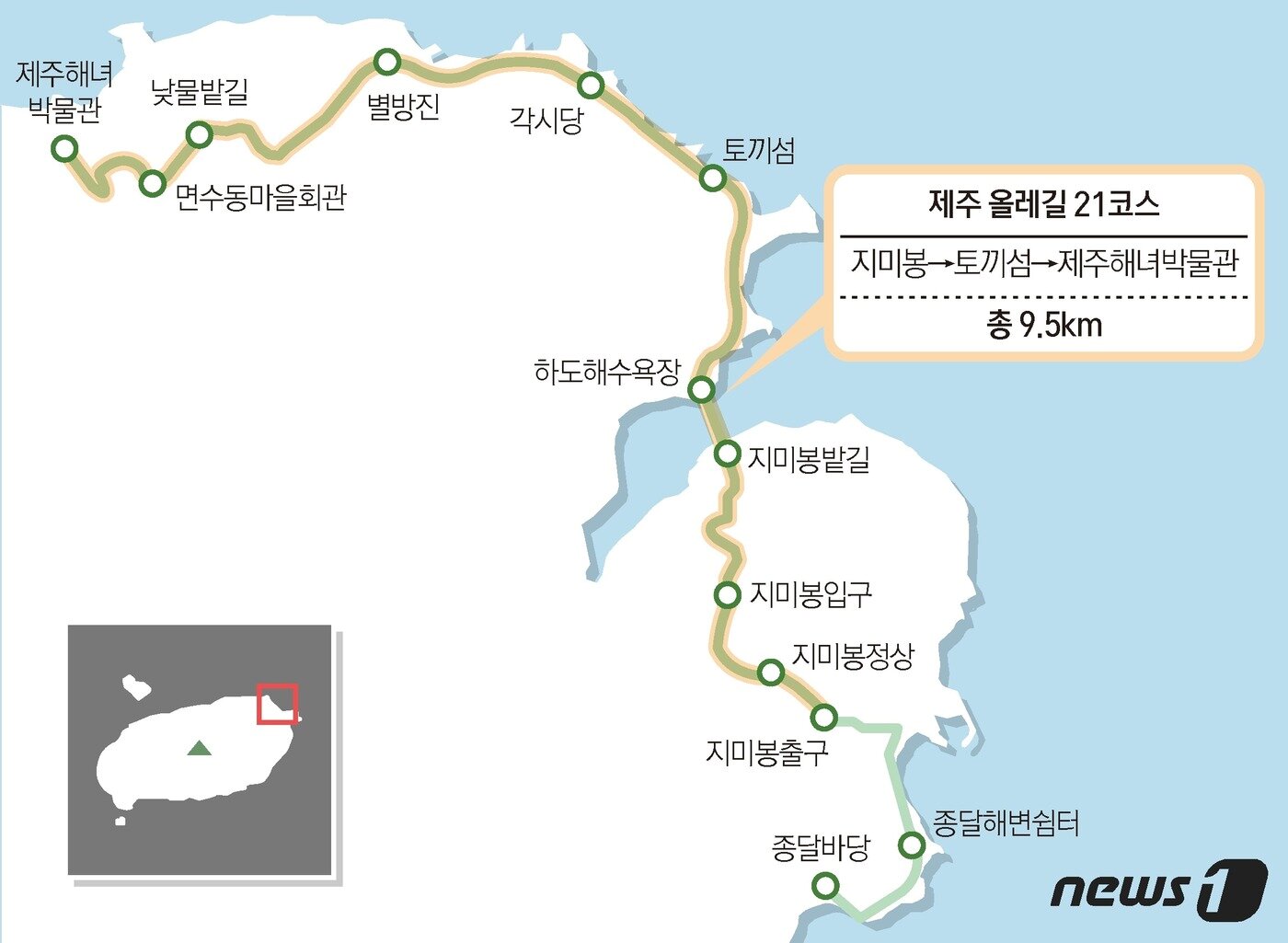 본문 이미지 - ⓒ News1 최수아 디자이너