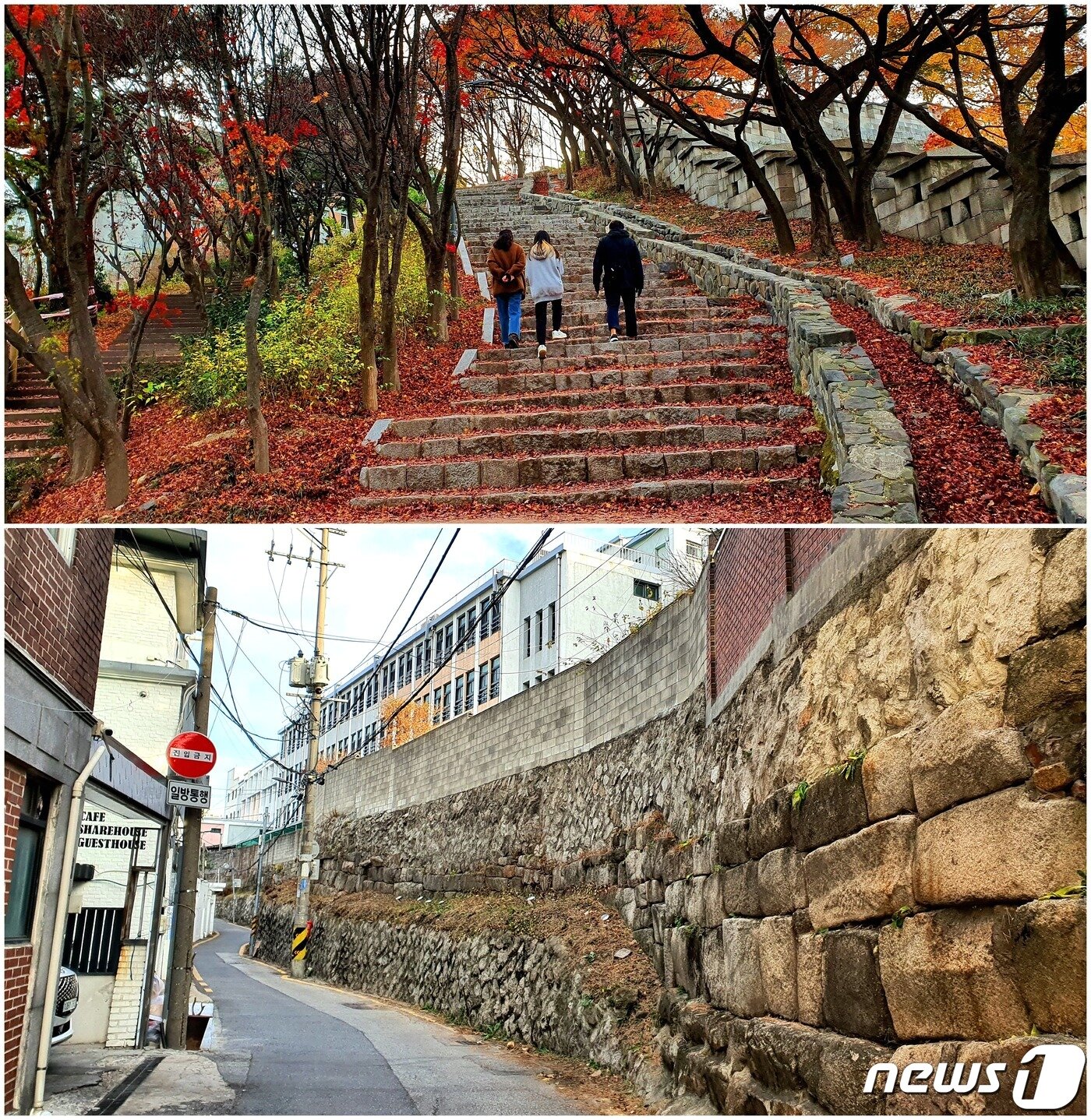 본문 이미지 - <위> 와룡공원 입구에서 올려다 본 가을과 한양도성. <아래> 한양도성의 슬픔. 와룡공원 입구 도로에서 혜화문까지의 한양도성은 건물의 축대와 담장으로 간신히 나타났다 사라졌다를 반복한다.