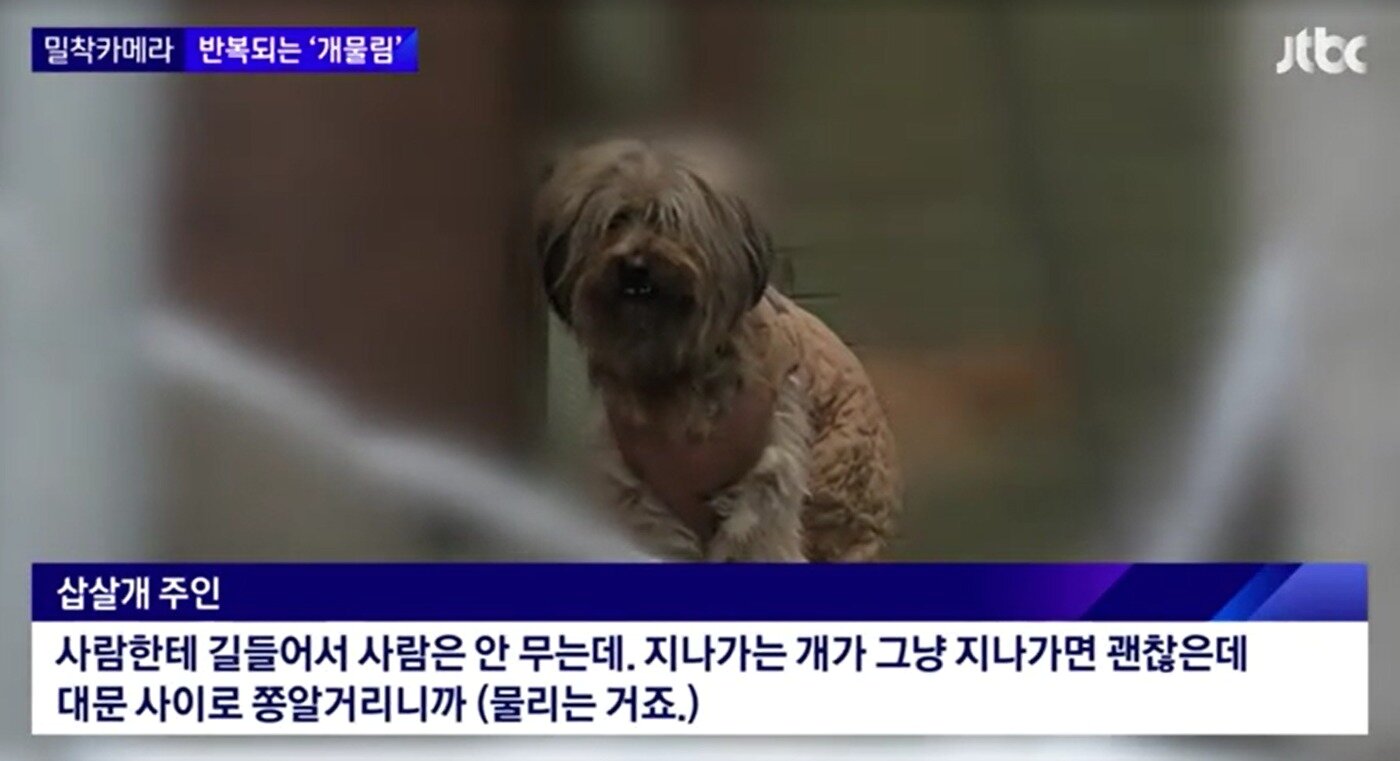 본문 이미지 - (JTBC 갈무리)