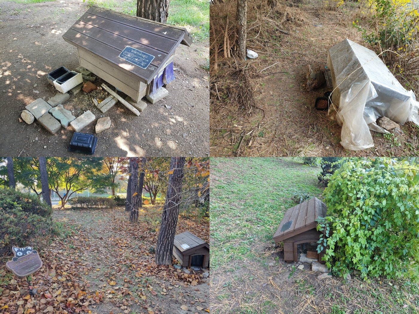 본문 이미지 - 길고양이 공원 급식소의 개선 전(위쪽)과 개선 후의 모습. (서울시 제공)