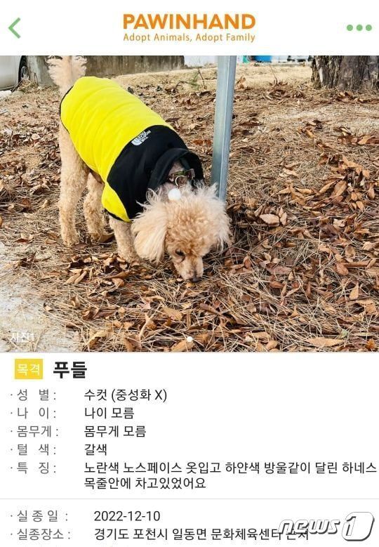 본문 이미지 - (온라인 커뮤니티 갈무리)