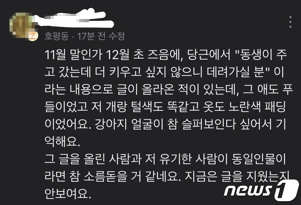 본문 이미지 - (온라인 커뮤니티 갈무리)