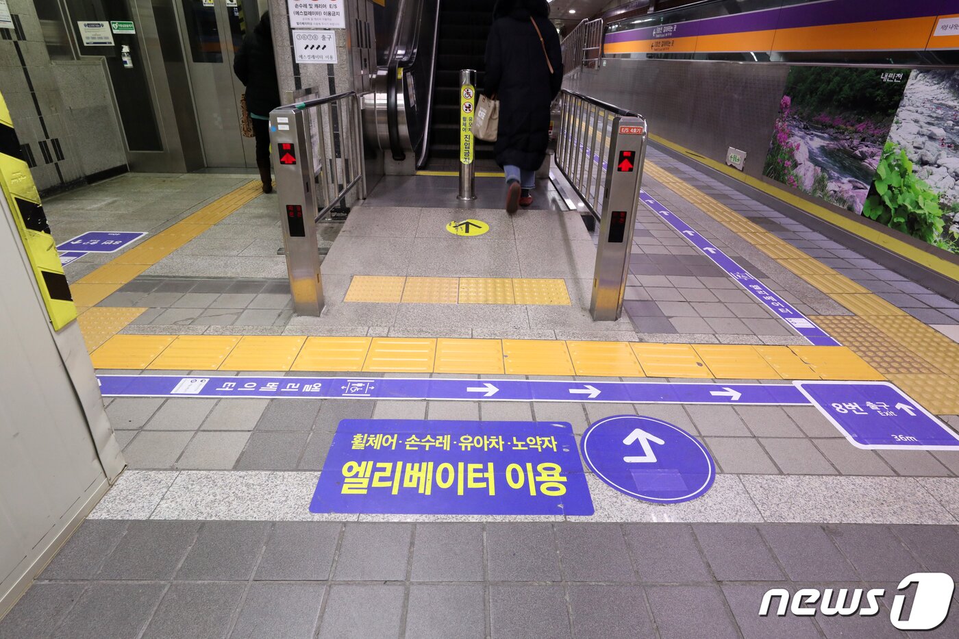 본문 이미지 - (사진은 기사 내용과 무관함) / 뉴스1 ⓒ News1