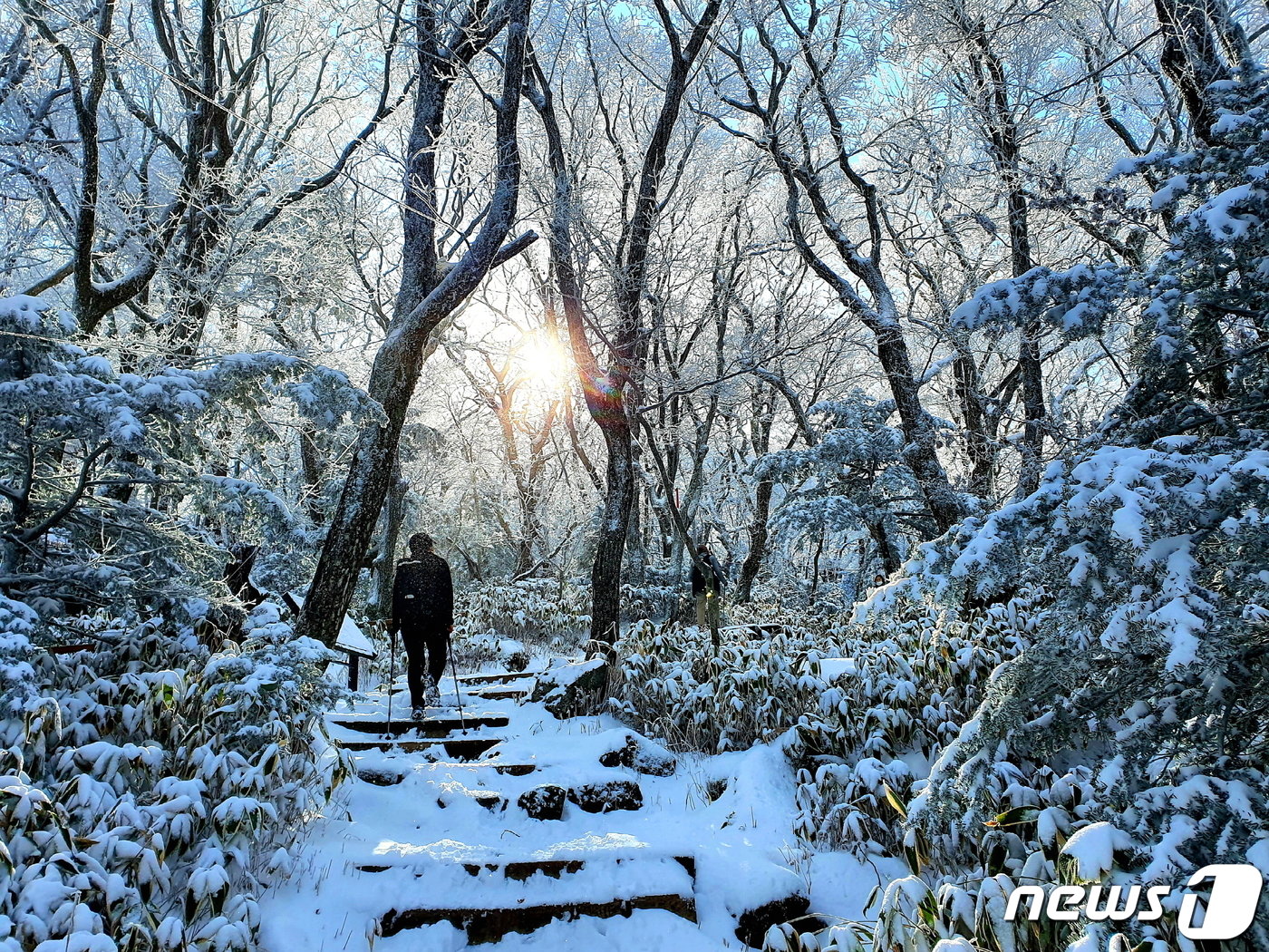 어리목에서 사제비동산 오르막길. 따가운 햇살에 눈이 녹아 눈가루 샤워를 하며 올라간다.