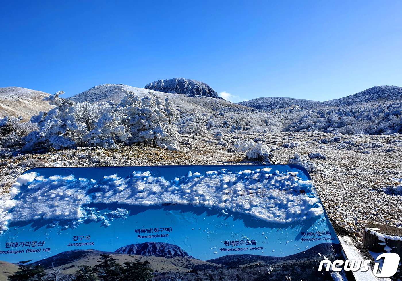 본문 이미지 - 만세동산에서 바라보는 백록담 화구벽. 그 밑의 왼쪽에 민대가리동산과 장구목, 오른쪽에 윗세붉은오름과 윗세누운오름.