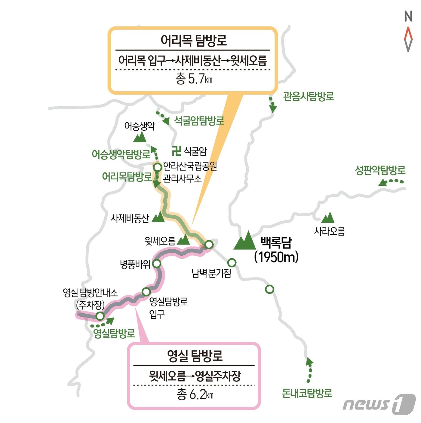 본문 이미지 - ⓒ News1 윤주희 디자이너