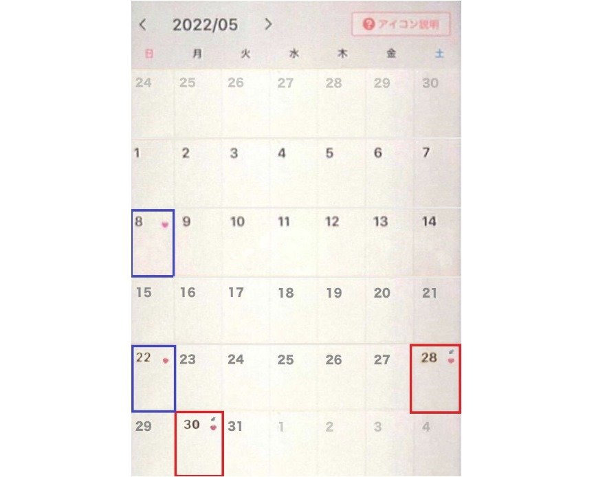본문 이미지 - 시노다의 월경주기 앱. 파란색 표시는 A씨와 성관계한 날, 빨간색 표시는 B씨를 만난 날이다. (주간문춘 갈무리)