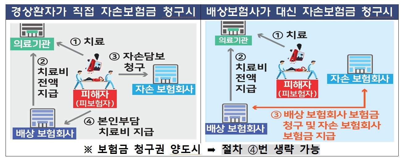 본문 이미지 - (금감원 제공)