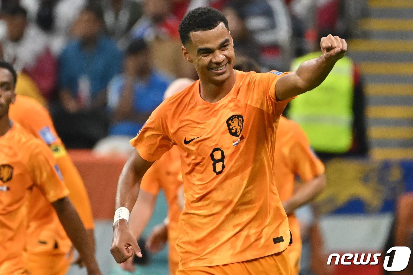 본문 이미지 - 네덜란드의 각포 ⓒ AFP=뉴스1