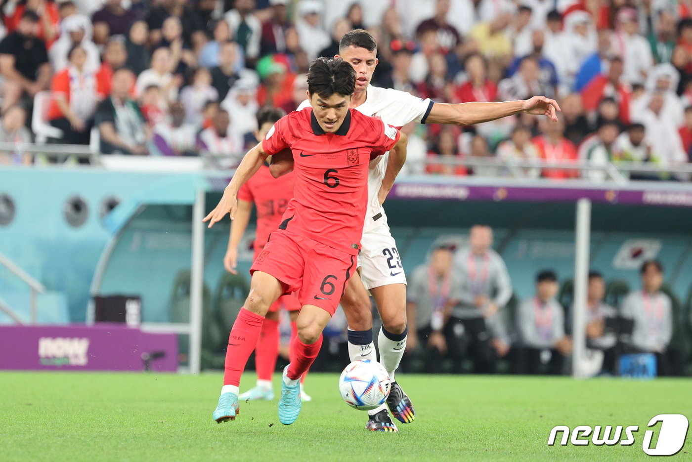 본문 이미지 - 2일 오후&#40;현지시간&#41; 카타르 알라이얀 에듀케이션 시티 스타디움에서 열린 2022 카타르 월드컵 조별리그 H조 3차전 대한민국과 포르투갈의 경기에서 대한민국 황인범이 돌파를 시도하고 있다. 2022.12.3/뉴스1 ⓒ News1 이동해 기자
