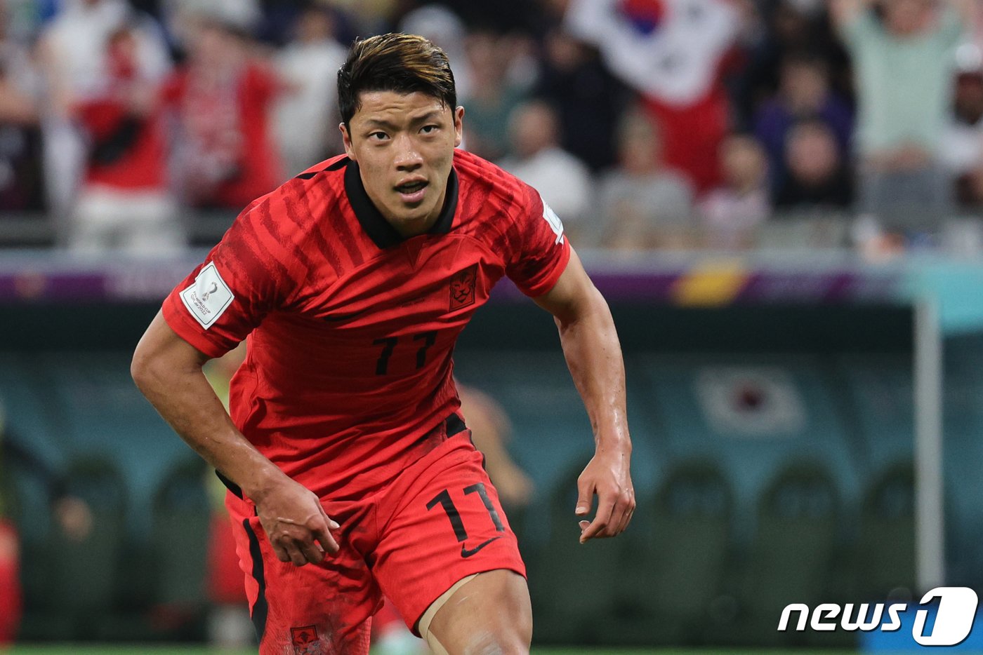 본문 이미지 - 카타르 월드컵에서 처음 선발 출전하는 황희찬. /뉴스1 ⓒ News1 이광호 기자