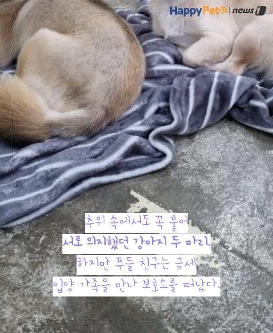 본문 이미지 -  