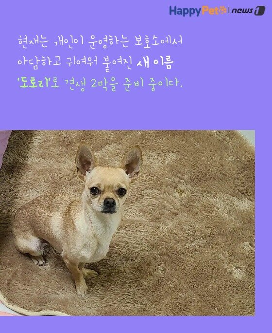 본문 이미지 -  