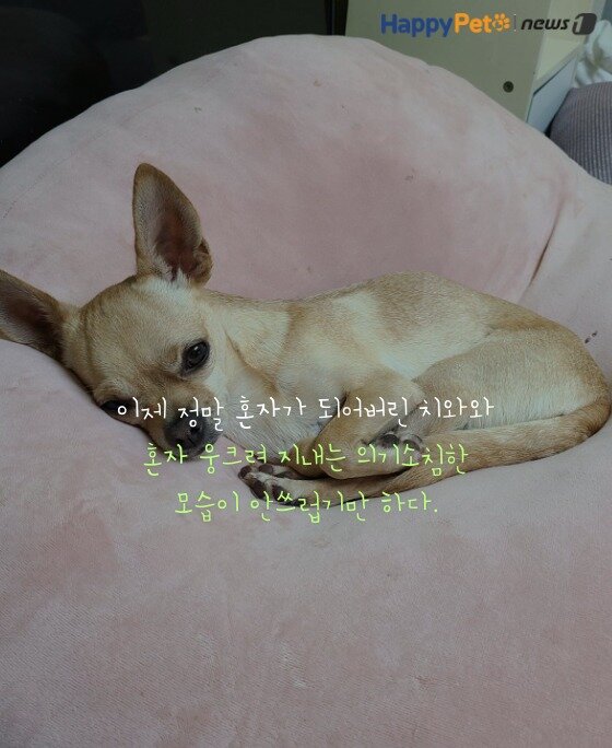 본문 이미지 -  