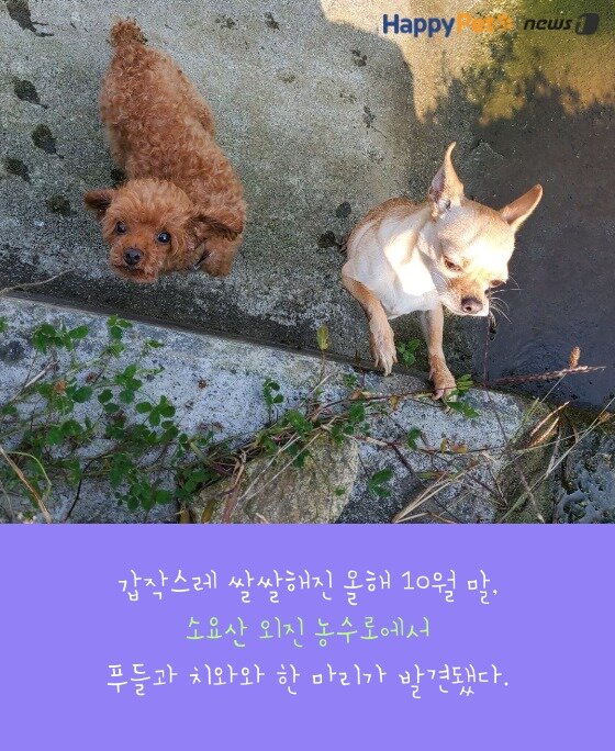 본문 이미지 -  