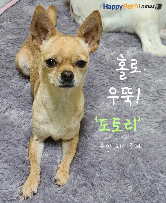 본문 이미지 -  